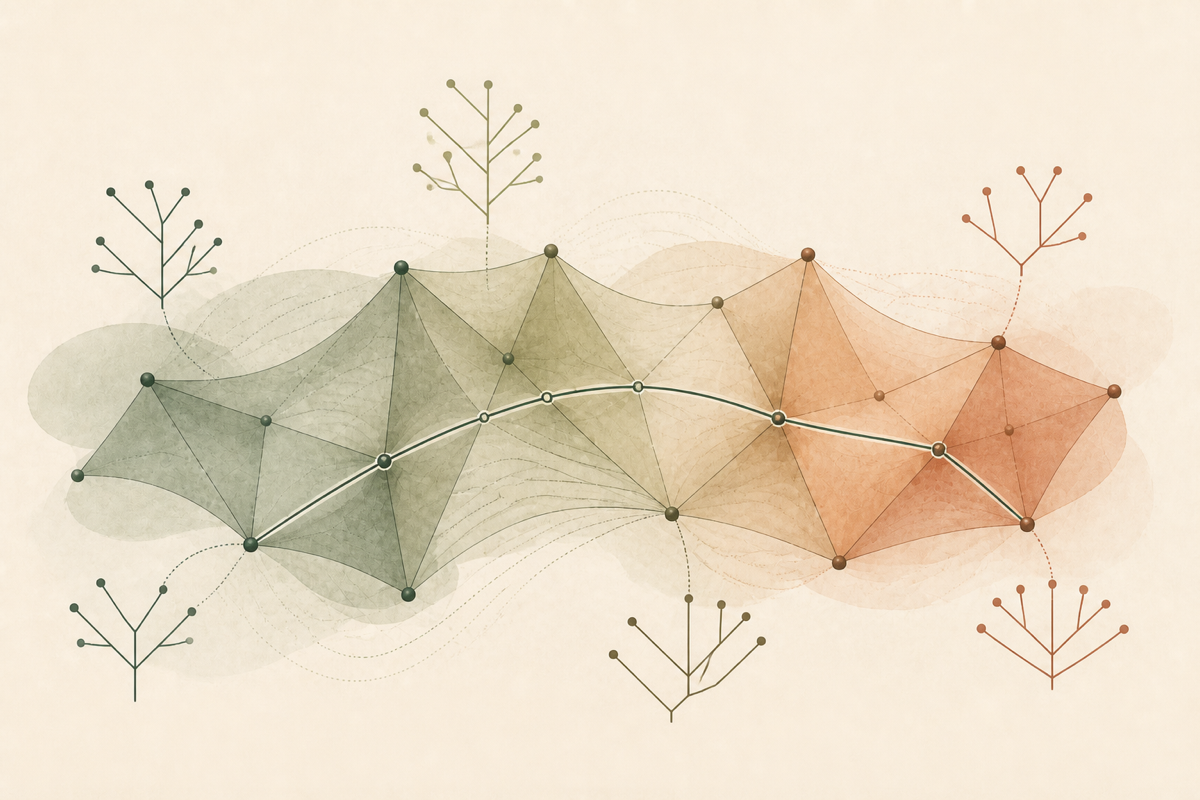 Phylogenetic tree topologies arranged around connected geometric cells in BHV tree space